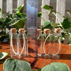 Puede incluir: Cinco peque&ntilde;as botellas de vidrio transparente con tapones de corcho, cada una con un objeto curvo blanquecino. Una regla met&aacute;lica, marcada en cent&iacute;metros, se encuentra junto a las botellas. Las botellas est&aacute;n sobre una superficie de madera, con follaje verde al fondo.
