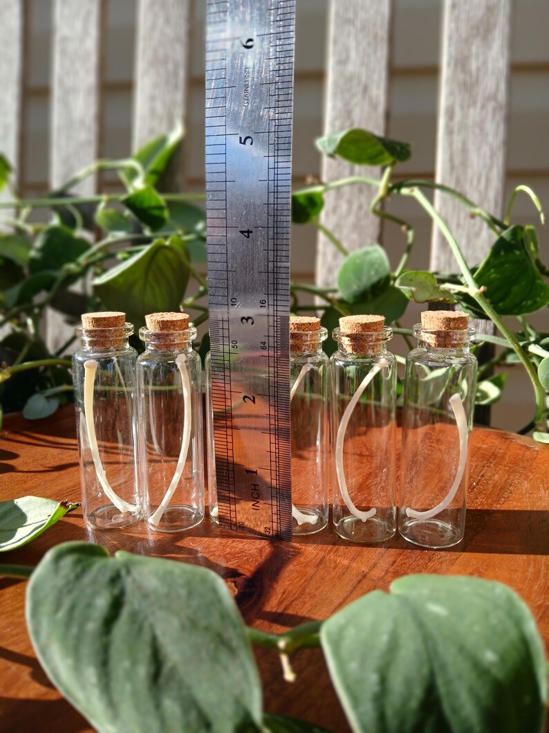 Puede incluir: Cinco peque&ntilde;as botellas de vidrio transparente con tapones de corcho, cada una con un objeto curvo blanquecino. Una regla met&aacute;lica, marcada en cent&iacute;metros, se encuentra junto a las botellas. Las botellas est&aacute;n sobre una superficie de madera, con follaje verde al fondo.