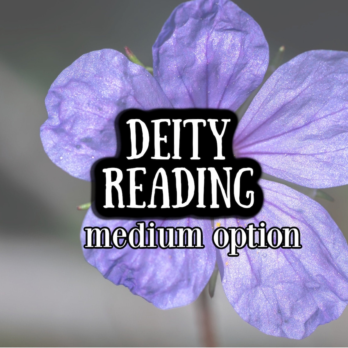 DEITY READING Who's Here and What Should You Know | Etsy