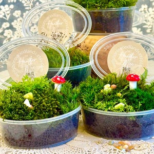 Live Moss Mixed Variety Pack! 4.5oz Container, Mix of 4-6 Varieties, Healthy & Lush for Moss Terrariums, Limited Supply Available!
