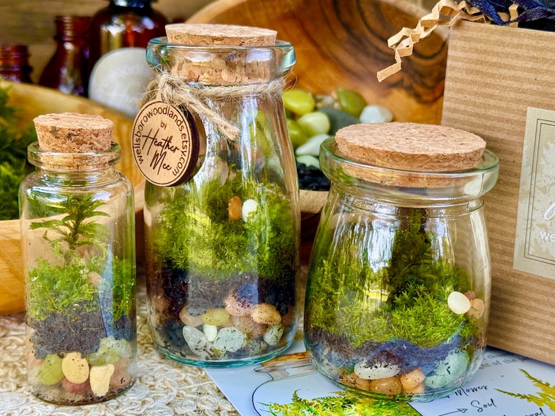 Pu&ograve; includere: Tre vasi di vetro per terrario con coperchi in sughero. I vasi contengono strati di terra, muschio e piccole pietre. Un vaso ha una piccola pianta. Un'etichetta di legno con testo &egrave; attaccata al vaso centrale.