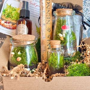 3 Jar DIY Terrarium Kit / Live Moss, Glass Bottles, Cork Lids, Gift Box / Licensed in 50 States to Forage, Grow, Sell Native Terrarium Moss immagine 5