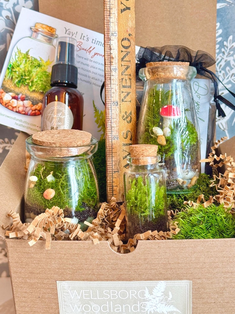 3 Jar DIY Terrarium Kit / Live Moss, Glass Bottles, Cork Lids, Gift Box / Licensed in 50 States to Forage, Grow, Sell Native Terrarium Moss immagine 5