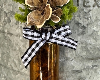 Amber Moss Terrarium Magnets, Glass Bottles, Real Dried Wild Mosses, Shelf Mushrooms, Lichens, Licensed in all 50 States