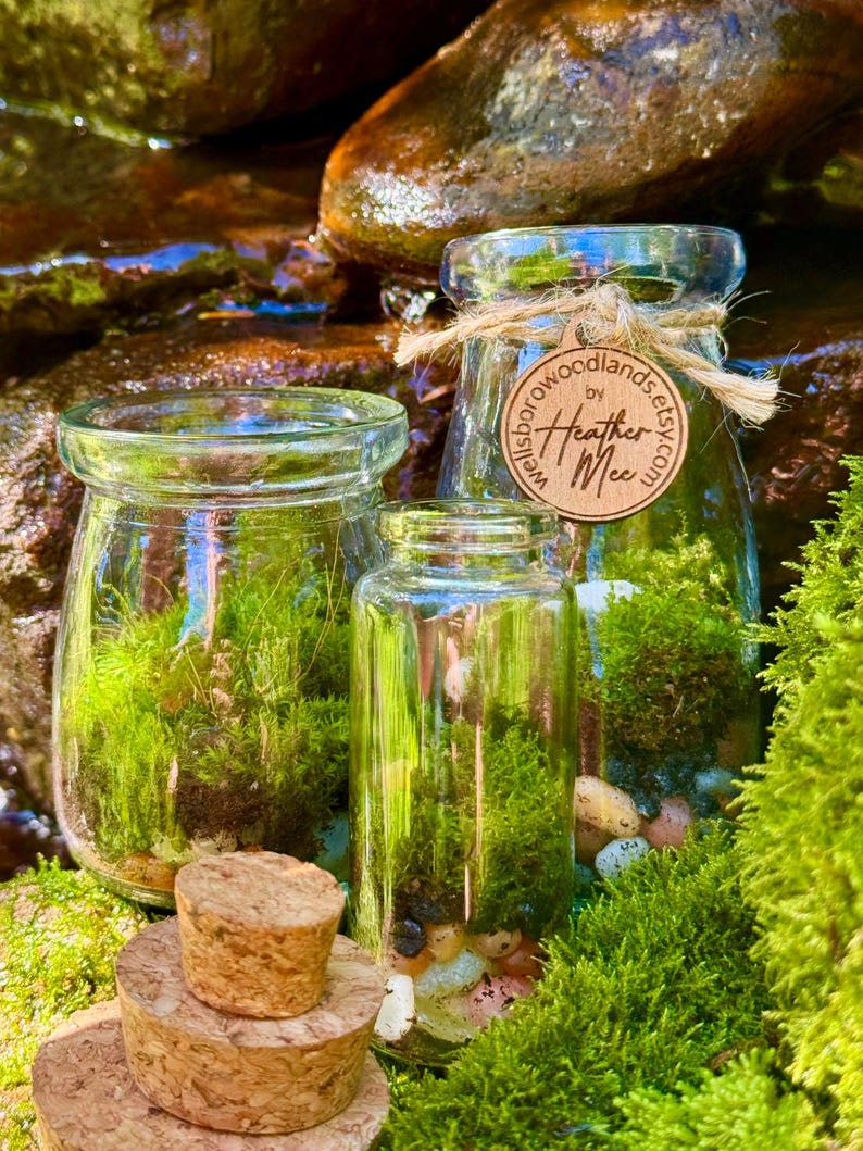 Pu&ograve; includere: Tre barattoli di vetro pieni di muschio verde e piccole pietre. I barattoli sono di diverse dimensioni e hanno tappi di sughero. Un barattolo ha un'etichetta di legno legata con spago che dice "Wellsborowoodlands.etsy.com by Heather Mee."
