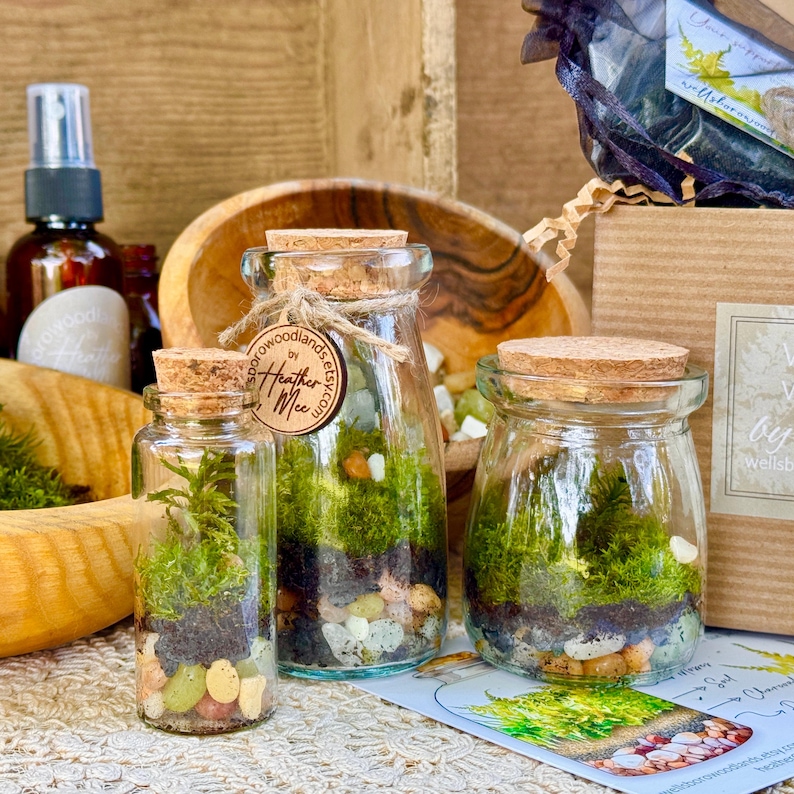 Pu&ograve; includere: Tre terrari di vetro con tappi di sughero, riempiti di muschio verde, piccole pietre e terra. I terrari variano per dimensioni e forma, uno con un'etichetta decorativa. Una ciotola di legno e altri oggetti sono sullo sfondo.