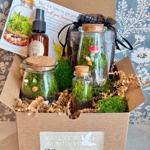 3 Jar DIY Terrarium Kit / Live Moss, Glass Bottles, Cork Lids, Gift Box / Licensed in 50 States to Forage, Grow, Sell Native Terrarium Moss immagine 2