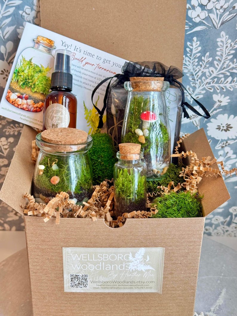 3 Jar DIY Terrarium Kit / Live Moss, Glass Bottles, Cork Lids, Gift Box / Licensed in 50 States to Forage, Grow, Sell Native Terrarium Moss immagine 2