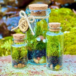 Small DIY Terrarium Kit with 3 Jars, Organic Live Moss, Glass Bottles with Cork Lids, Terrarium DIY Kit, Birthday, Gift, Sustainability