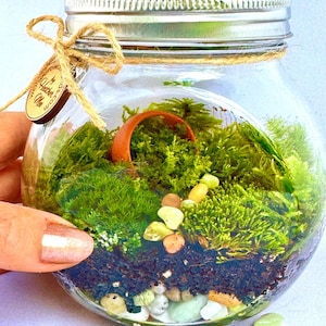 DIY Terrarium Kit with Organic Live Moss, Mini Terracotta Pot or Resin Waterscape, Houseplants, Birthday Gift, Terra Cotta Pot