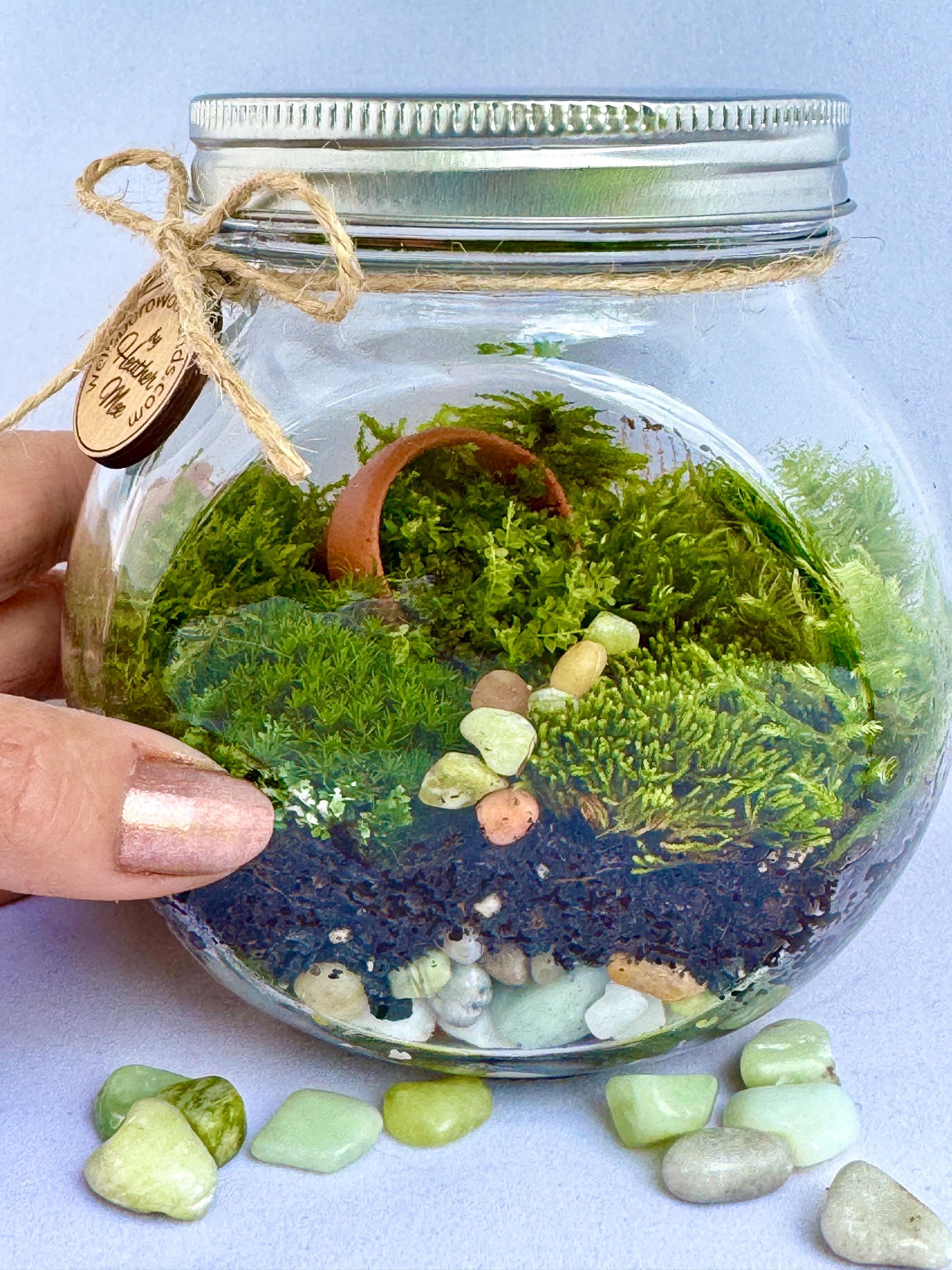 Terrarium/fairy Garden Kit/鳥の巣付き+3本の植物-Jmbambooから自分だけの生きたTerrariumを作る Bunny Garden - Easter Fairy Garden Terrarium With Succulents-kit