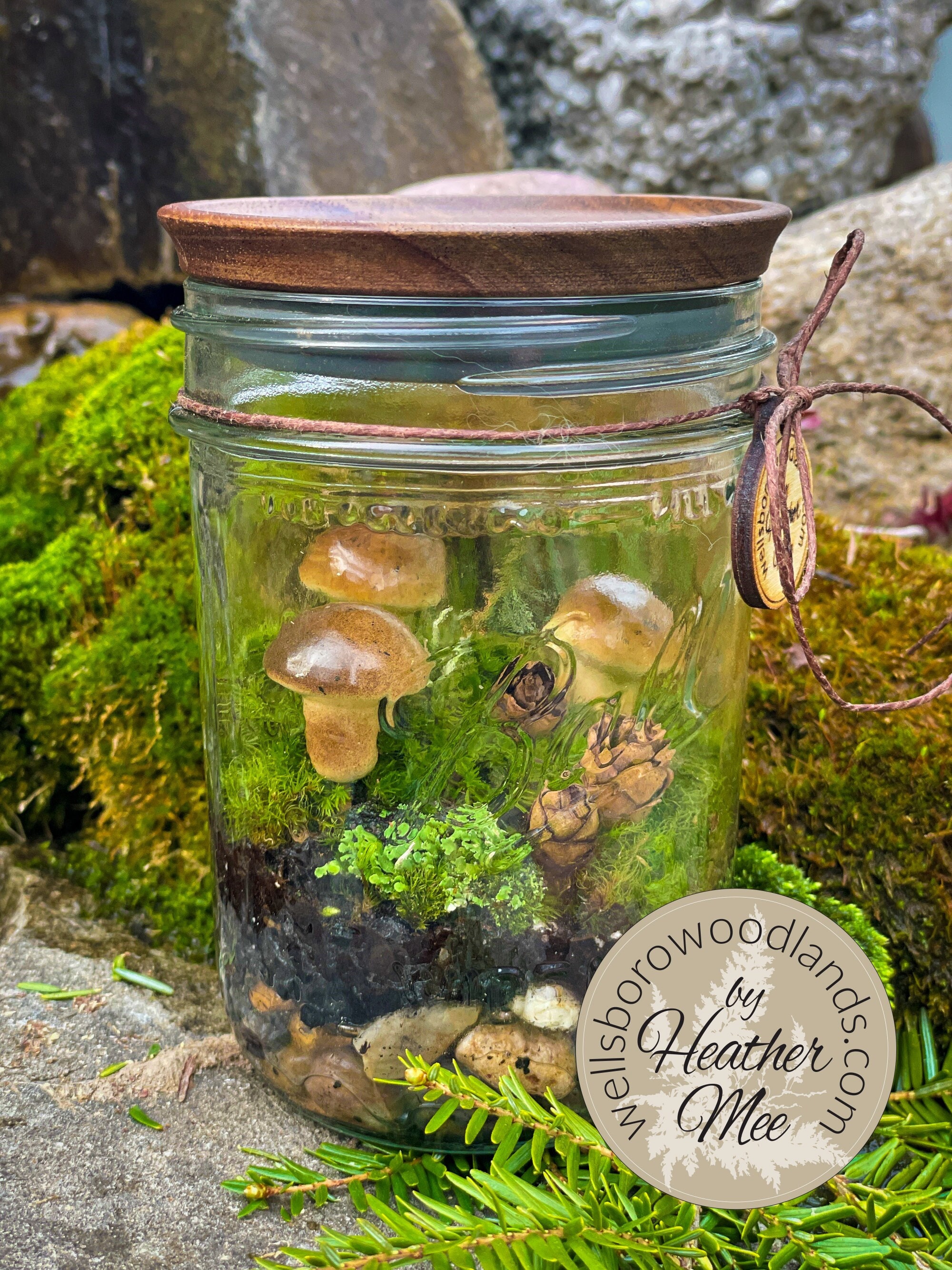Terrariums — Wellsboro Woodlands, LLC