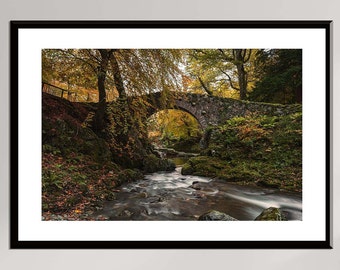 Foleys Bridge -Autumn Season - River - Mythical - Tollymore Forest - Northern Ireland - Print