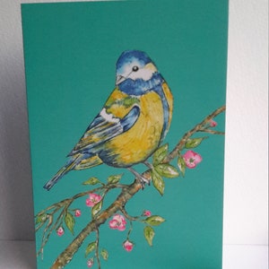 Blue Tit Notecard, avec enveloppe, de mon aquarelle originale