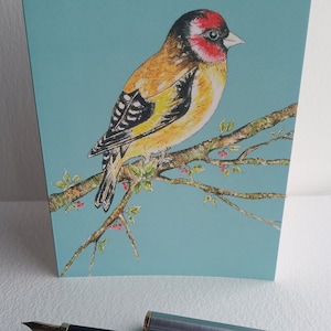 Nouvelle carte de notes vierge Bird, avec enveloppe, imprimée à partir de mon aquarelle originale