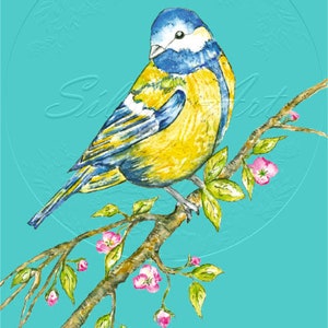 Blue Tit Print , de mi obra de arte original en acuarela