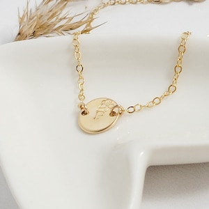 Peut inclure: Un délicat collier doré avec un petit pendentif rond. Le pendentif est gravé d'un motif floral et de la lettre "F". Le collier est présenté sur une surface blanche avec de l'herbe séchée en arrière-plan.