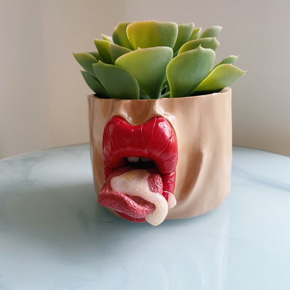 Etsy plant pots deals