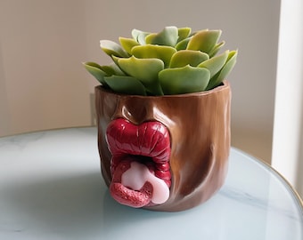 Starla dripping plant pot