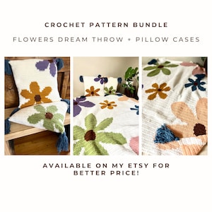 Crochet Flowers Dream Throw and Pillows