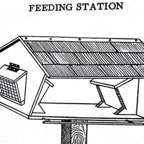 Plan de mangeoire à oiseaux en bois des années 1930 (télécharger)