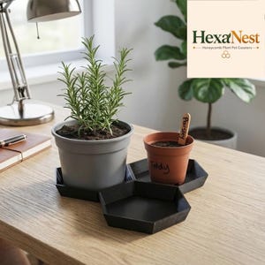 May include: Three interlocking black hexagonal plant pot coasters arranged in a cluster. A large grey pot containing a rosemary plant sits on one coaster, while a smaller terracotta pot labelled Parsley and Teddy sits on another.