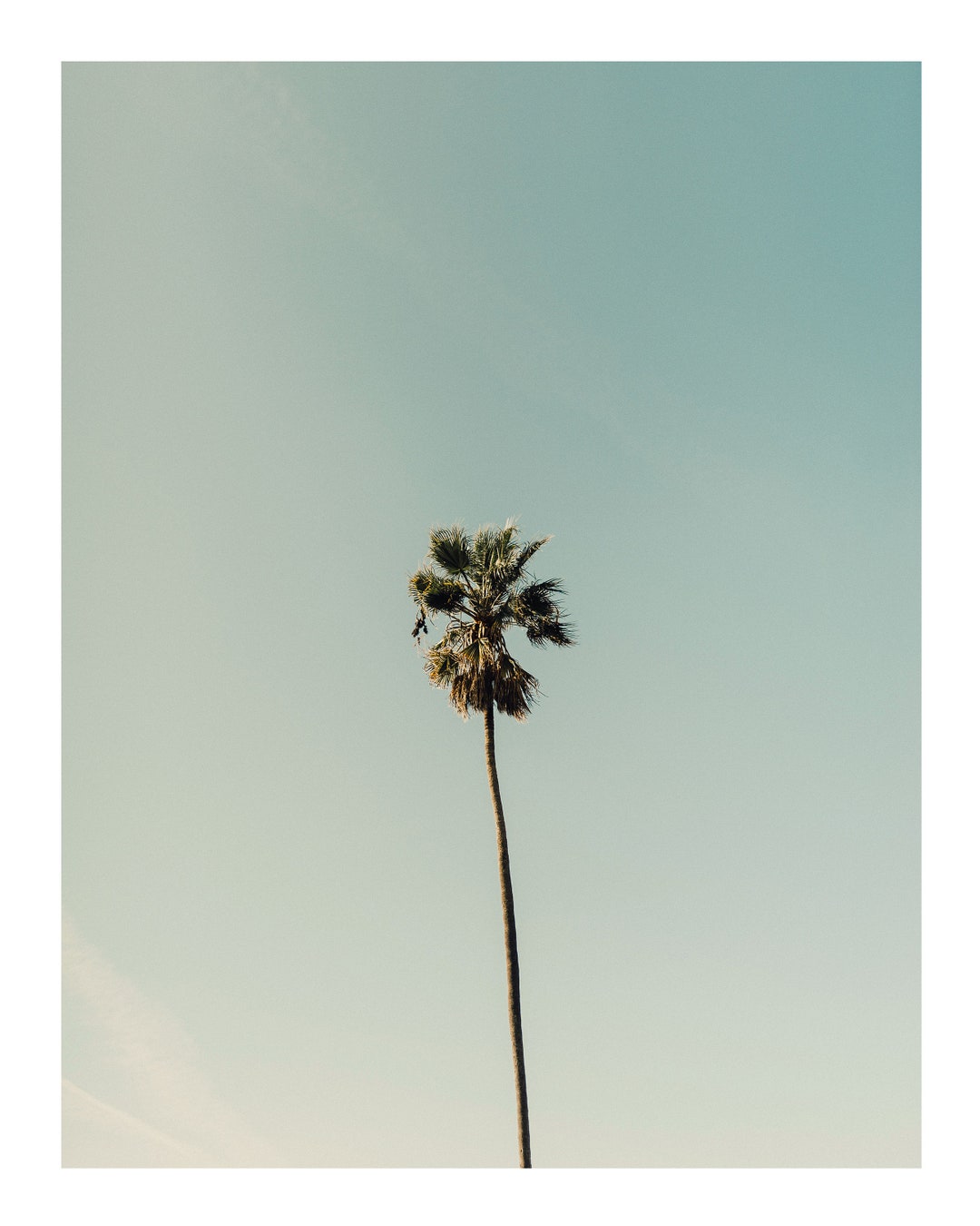 Los Angeles Palm Tree Wall Art Printable Digital Photo Wall Art