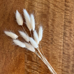 Mini Bunch Bunny Tails | Bleached White | Dried Flowers | Small Bouquet | Lagurus Ovatus | Letterbox Flowers | 10/20 Stems | 15-30cm Tall