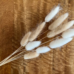 Mini Bunch White and Natural Bunny Tail Mix | Bleached White Small Bouquet | Neutral Bunny Tails | Dried Flowers for Vase | Neutral Decor