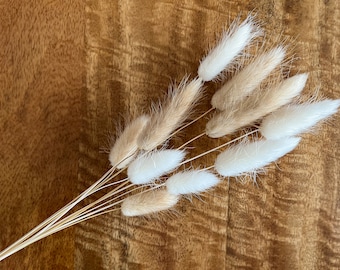 Mini Bunch Bianco e Naturale Bunny Tail Mix / Sbiancato Bianco Piccolo Bouquet / Neutral Bunny Code / Fiori Secchi per Vaso / Neutral Decor