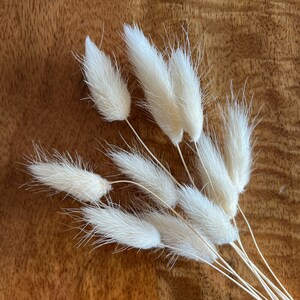 Pode incluir: Um molho de caules de grama pampas branca seca com plumas fofas. Os caules est&atilde;o dispostos em forma de leque sobre uma superf&iacute;cie de madeira marrom.