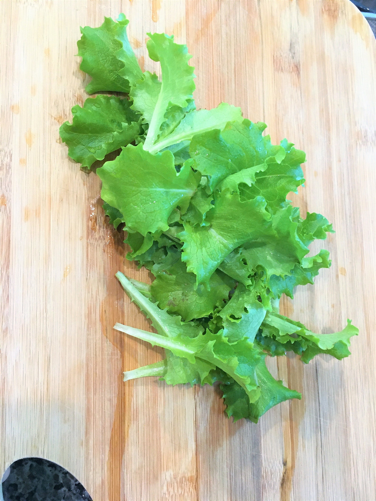 Organic Lettuce Seeds 50 seeds per pack Etsy