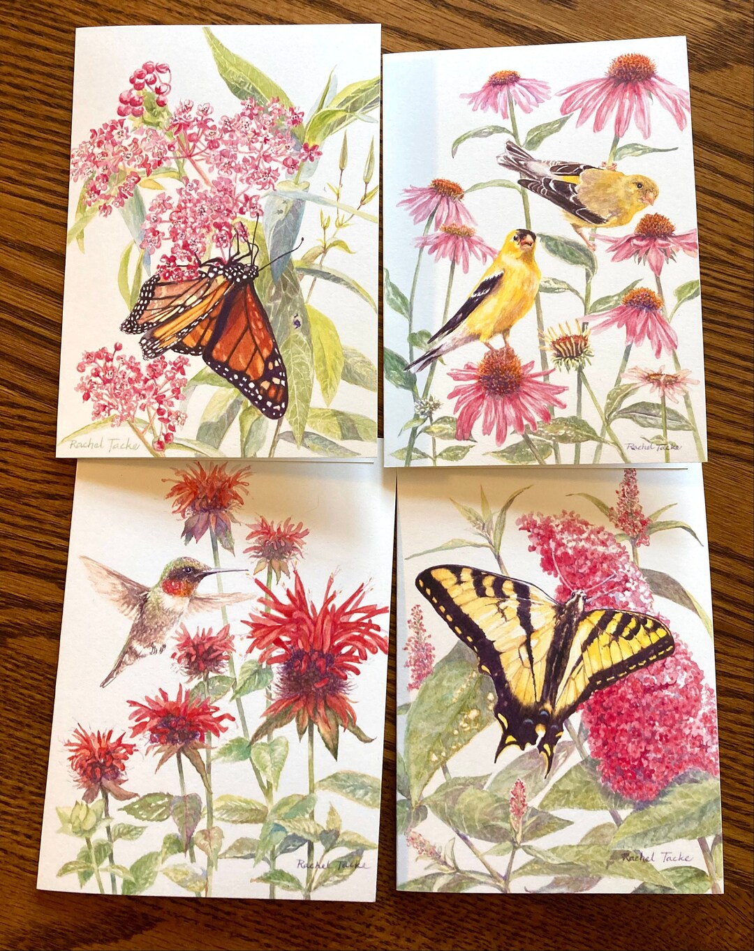 Watercolor Bird & Butterfly Blank Cards - Set of 4 - Etsy