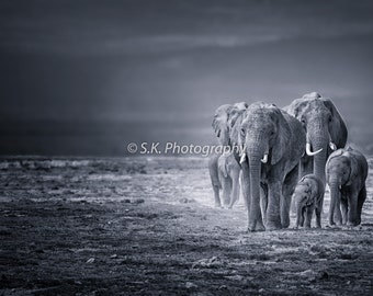 Family - Kenya