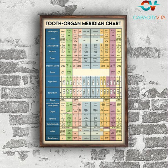 Dentist Poster Tooth-Organ Meridian Chart Protecting Teeth And | Etsy