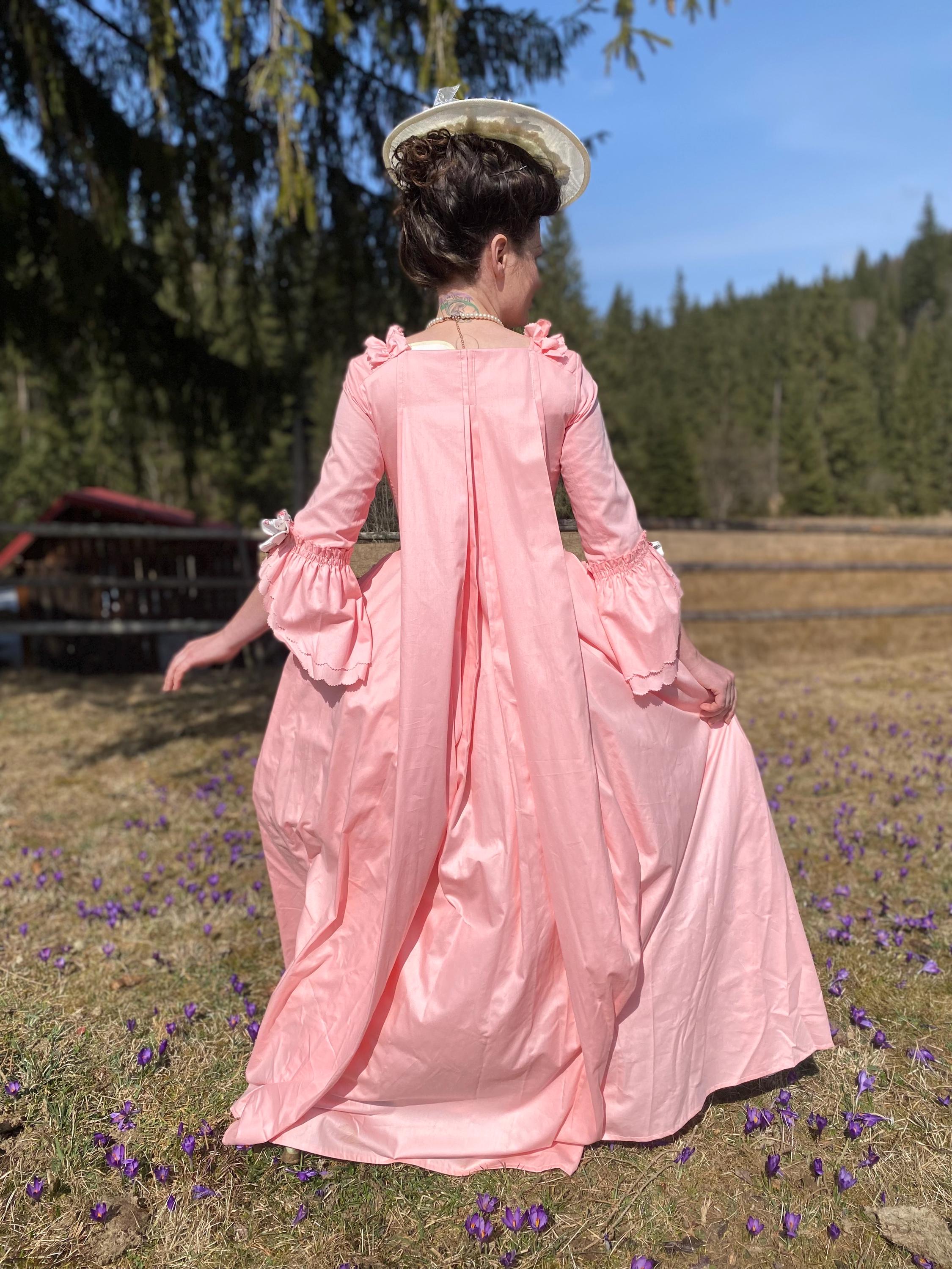 Watteau Back Rococo Marquise De Pompadour Rococo Dress, Robe à La Française With Watteau ...