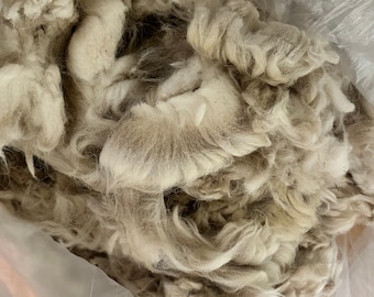 Raw Alpaca Wool: 22 oz for Spinning, Weaving, Felting