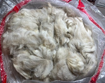 Raw Alpaca Wool: Grade 4 Fiber for Spinning, Felting, Knitting (2.18 lbs)