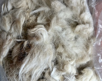 Raw White Alpaca Fiber: 11.8 oz for Spinning, Felting, Weaving