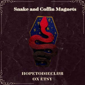 Snake and Coffin 4&quot; Pink and Blue Wooden Magnet Hand Painted Spooky Magnets Halloween Kitchen Decor Snake Decor Coffin Decor Witchy Magnets