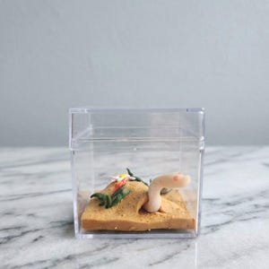 May include: A miniature diorama inside a clear plastic box. The scene features a light-colored worm emerging from a sandy hill, with small flowers and green plants. The background is a light blue.