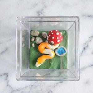 May include: A miniature diorama in a clear square container. It features a vibrant orange and white snake, a red mushroom with white spots, a blue pond, and small gray stones on a green base. The scene is crafted from clay.