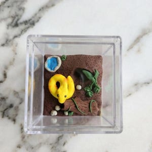 May include: A miniature terrarium in a clear plastic box. Inside, a yellow snake sculpture rests on a brown clay base, with a blue pond, green plants, and small white eggs. The scene is a miniature diorama.