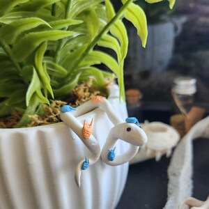 May include: A white ceramic pot with a green plant and a decorative white snake figurine. The snake has blue and orange accents and is wrapped around the pot's edge. The plant has bright green leaves.