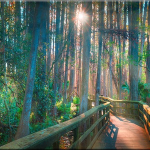Nature&#39;s Peace | Panoramic Landscape Photograph Printed on Canvas by Cavanah
