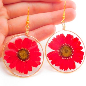 Real Red Daisy Earrings, Daisy Hoop Earrings, Dried Flower Earrings, Real Pressed Flowers, Dried pressed flowers,