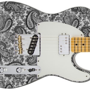 Guitar Skin Axe Wrap Re-skin '68 PAISLEY Grey Special GS 203