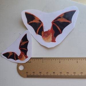Painted Bat Sticker
