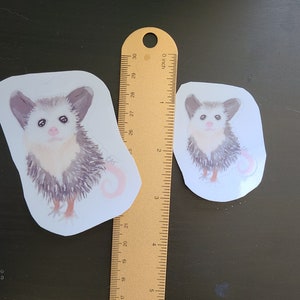 Opossum Sticker
