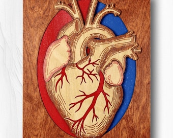 Heart Wall Plaque, Heart Wall Art, Heart Wall Plaque, Heart Wall Art, Laser Cut Wall Art, Laser Cut Plaque, Anatomical Heart